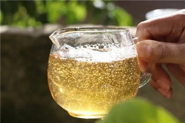 茶顏觀色”，看普洱茶條索里都蘊(yùn)含著怎樣的“密碼”？