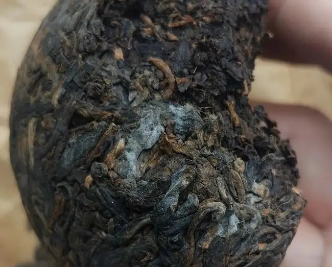 普洱茶的歷史進程