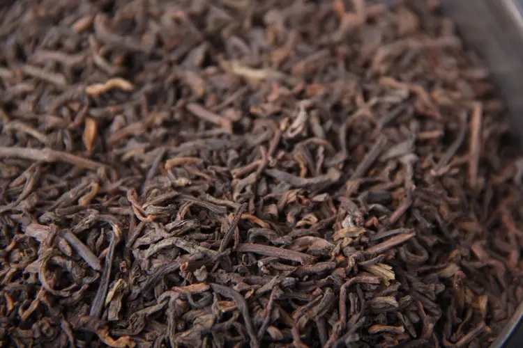 品懂熟茶丨新制的熟茶怎么品評(píng)？