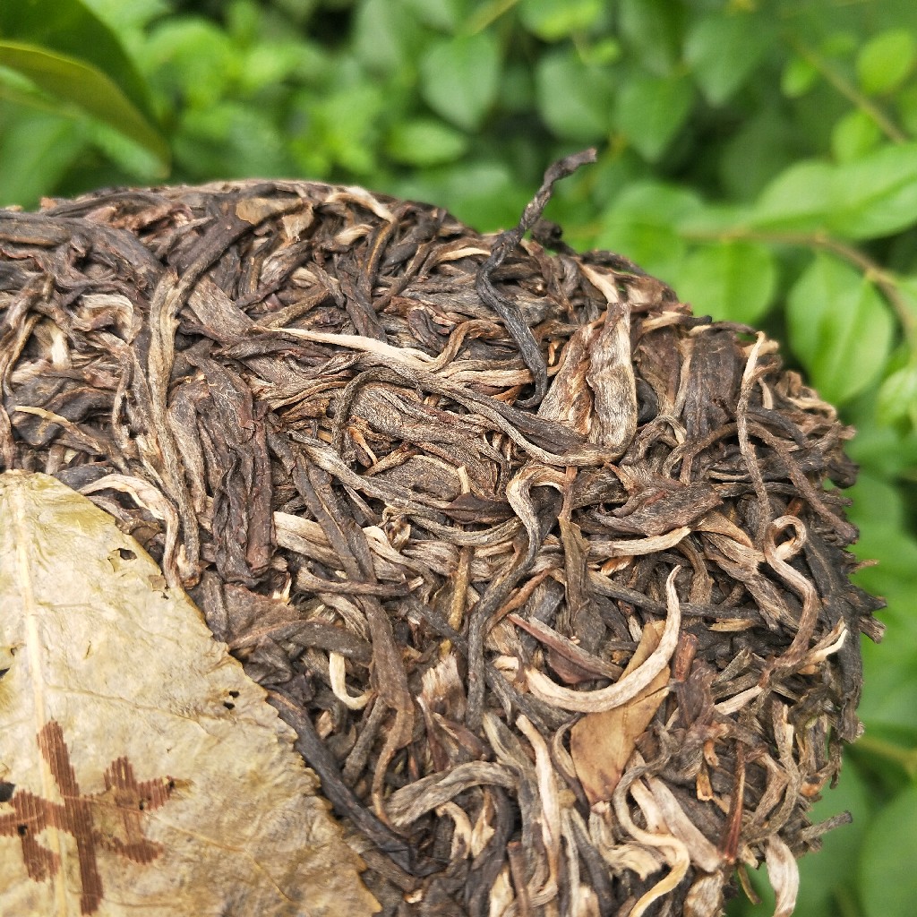 2023年班盆古樹春茶多少錢一公斤？