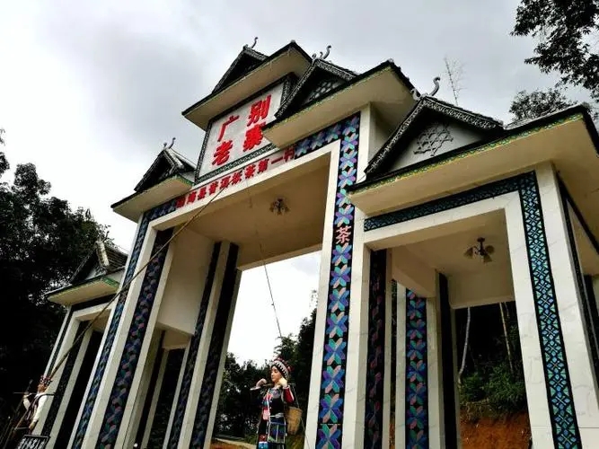 2023年廣別老寨古樹(shù)春茶品質(zhì)如何？