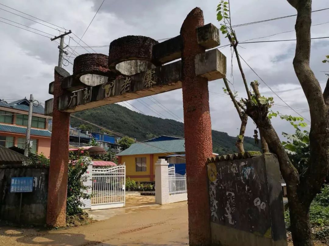 2023年廣別老寨古樹春茶價(jià)格多少？