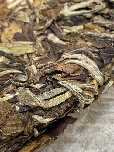 2023年拔瑪老寨古樹春茶特點(diǎn)是什么？