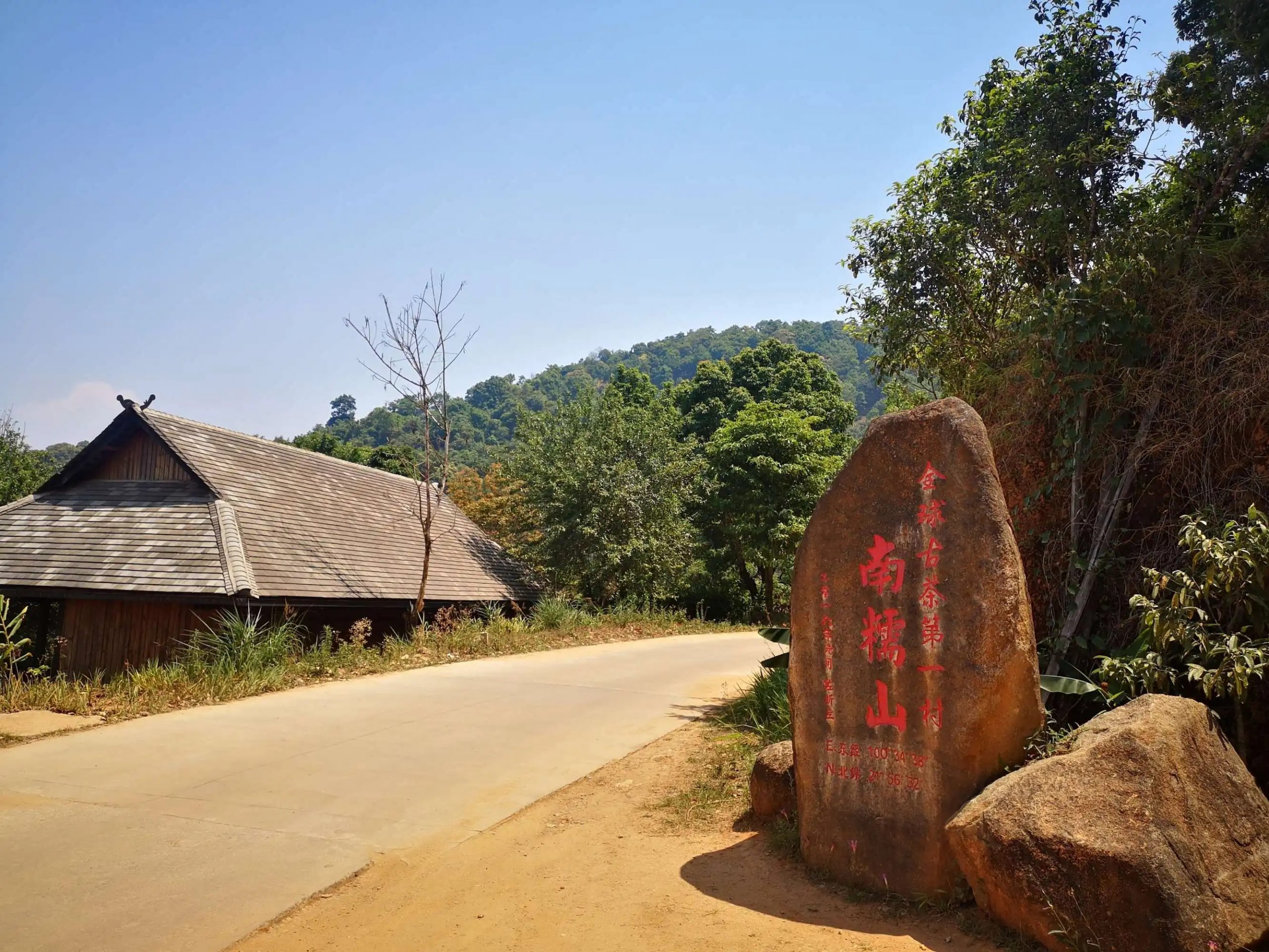 2023年南糯山古樹春茶品質(zhì)怎么樣？