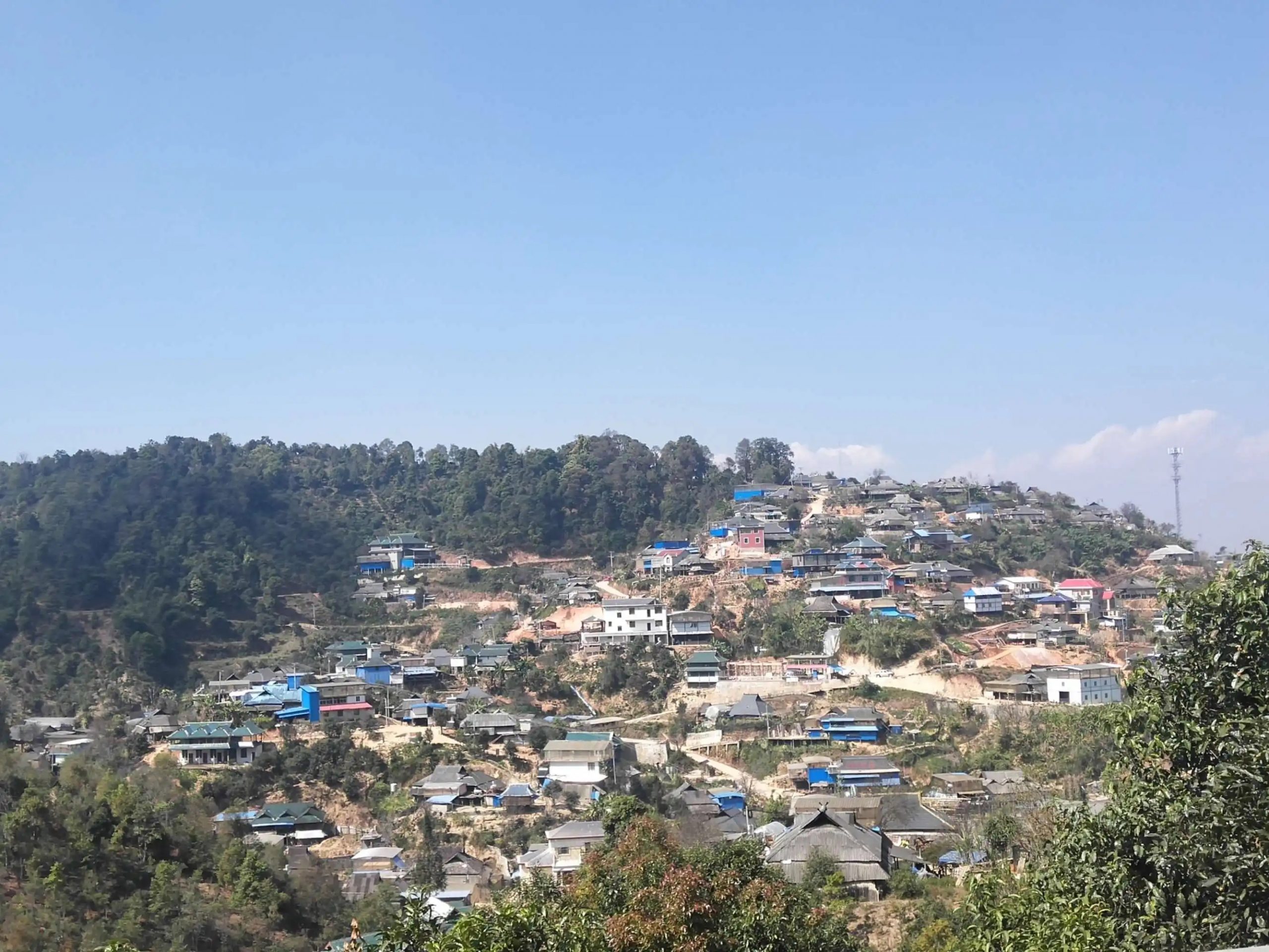 2023年帕沙古樹春茶品質(zhì)如何？