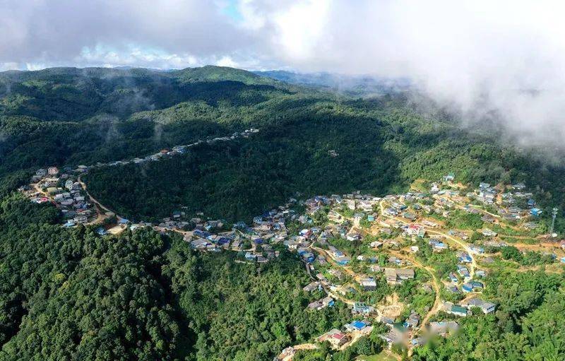 2023年帕沙古樹春茶口感怎么樣？