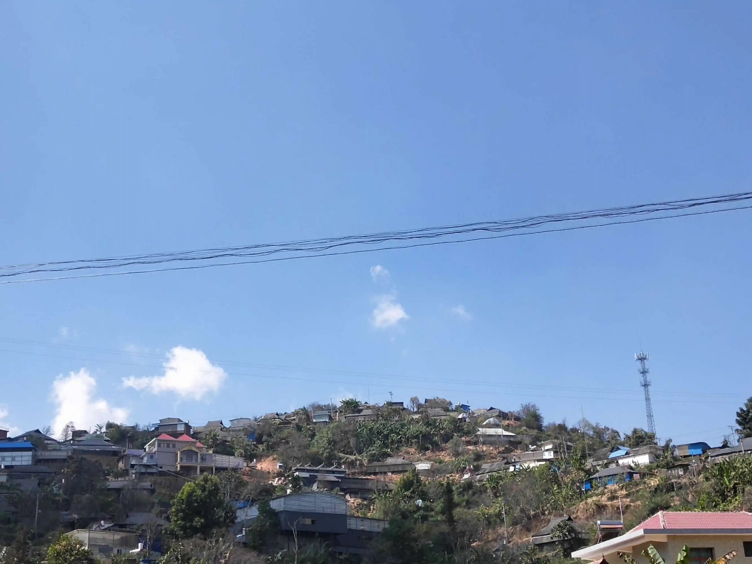 2023帕沙古樹春茶特點(diǎn)是什么？