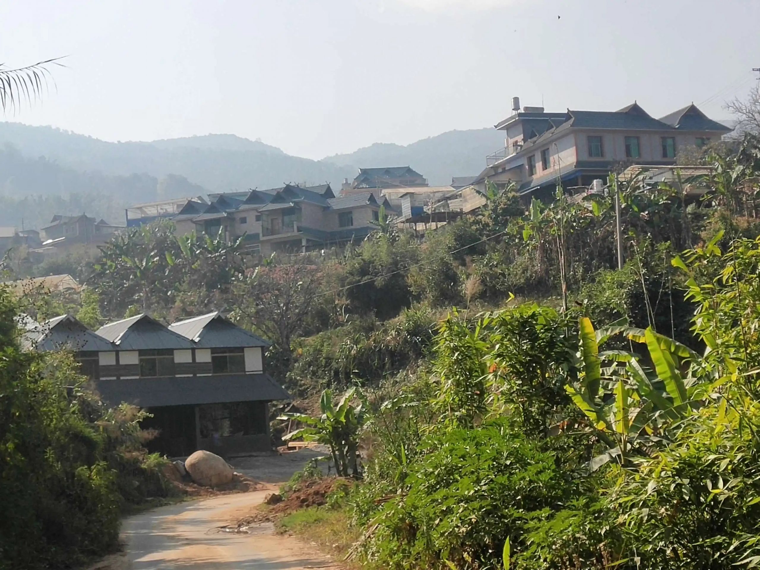 2023年帕沙古樹春茶價(jià)格多少錢？