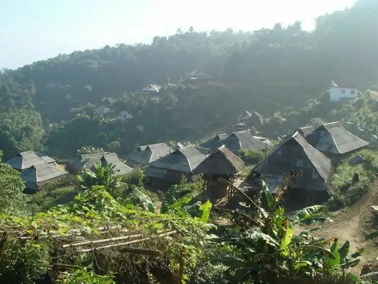 2023年帕沙古樹春茶多少一公斤？