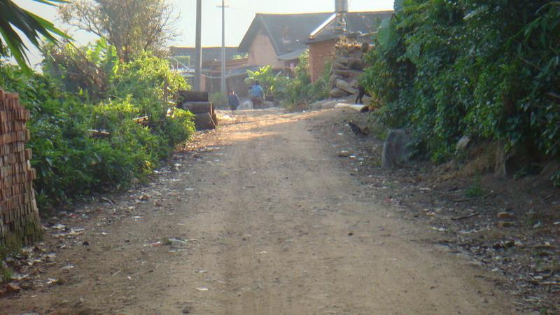 2023年保塘老寨古樹春茶價格是多少？