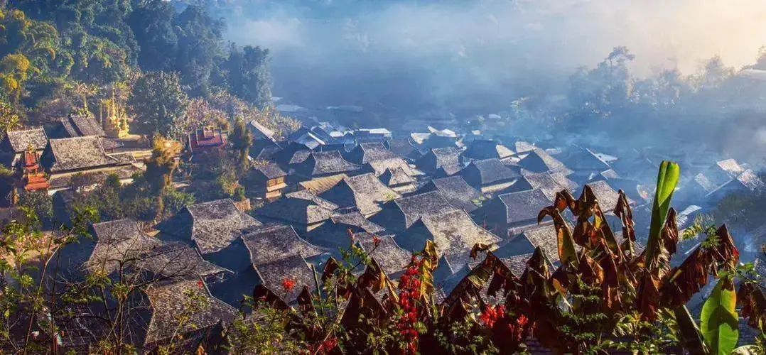 2023年景邁古樹春茶品質如何？