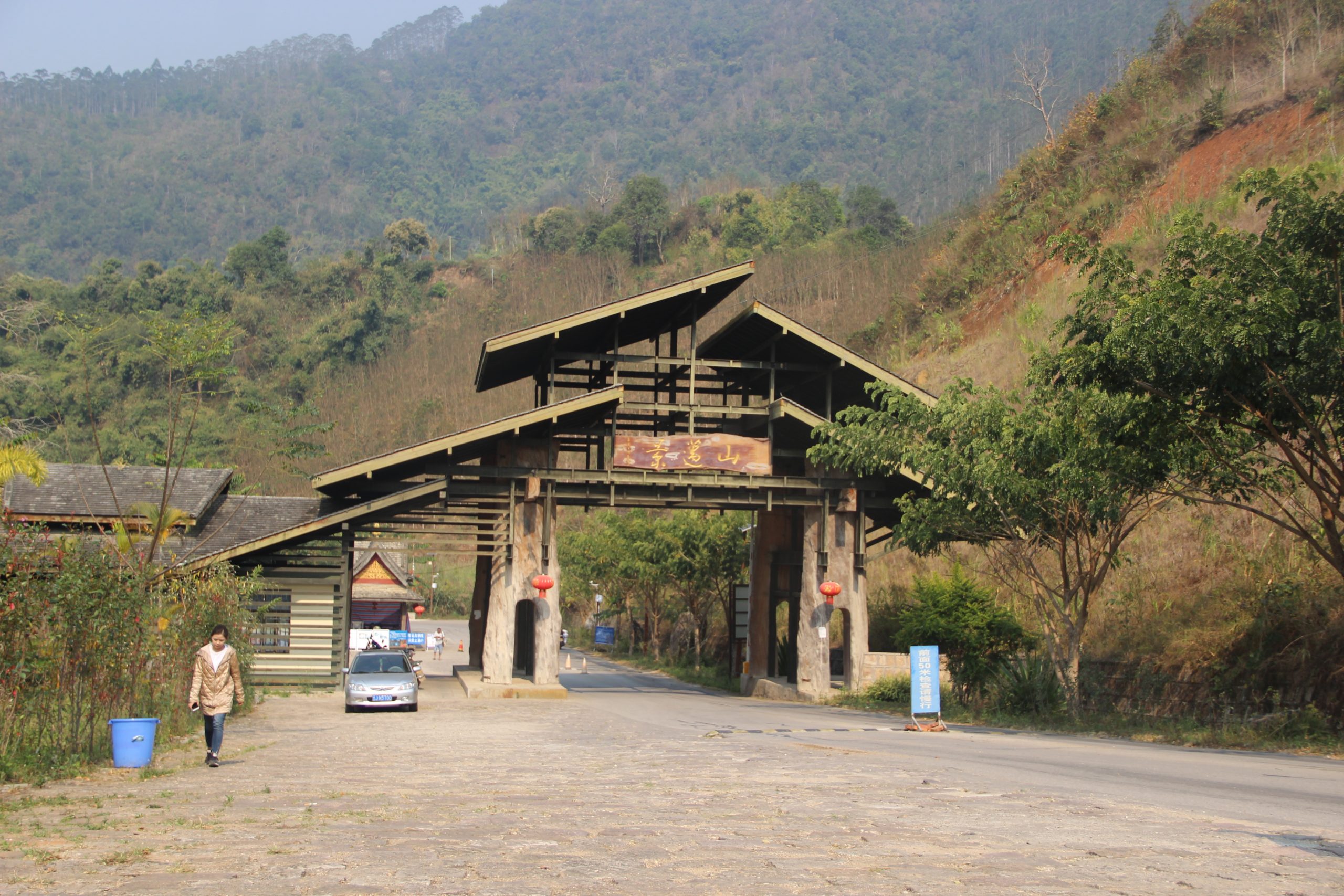 2023年景邁古樹春茶口感如何？