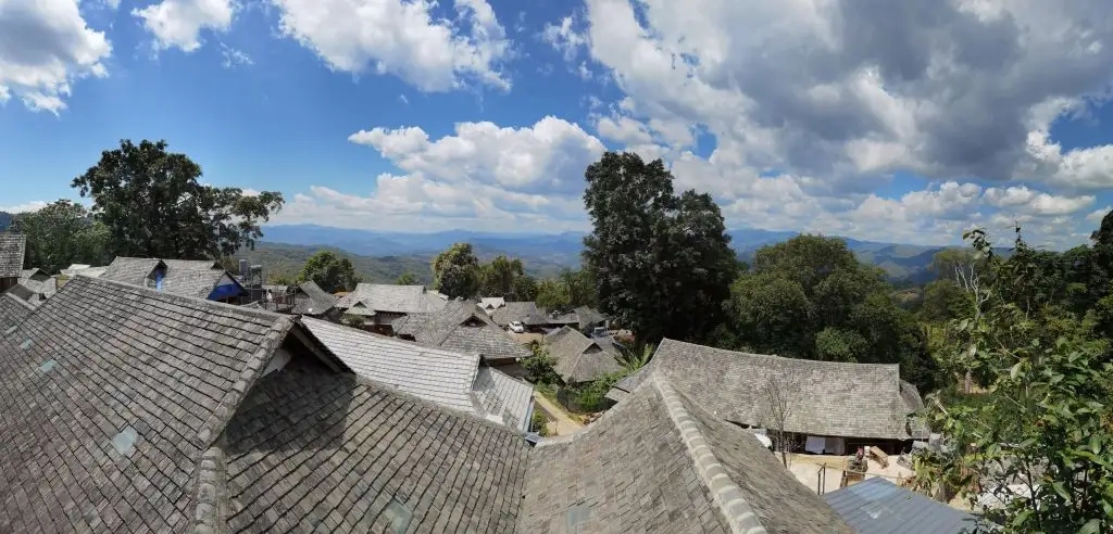 2023年景邁古樹春茶價格是多少？