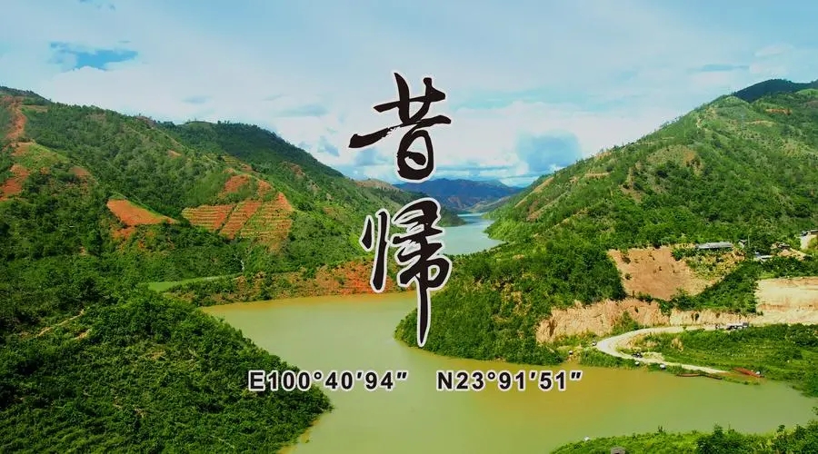 2023年昔歸古樹春茶品質如何？