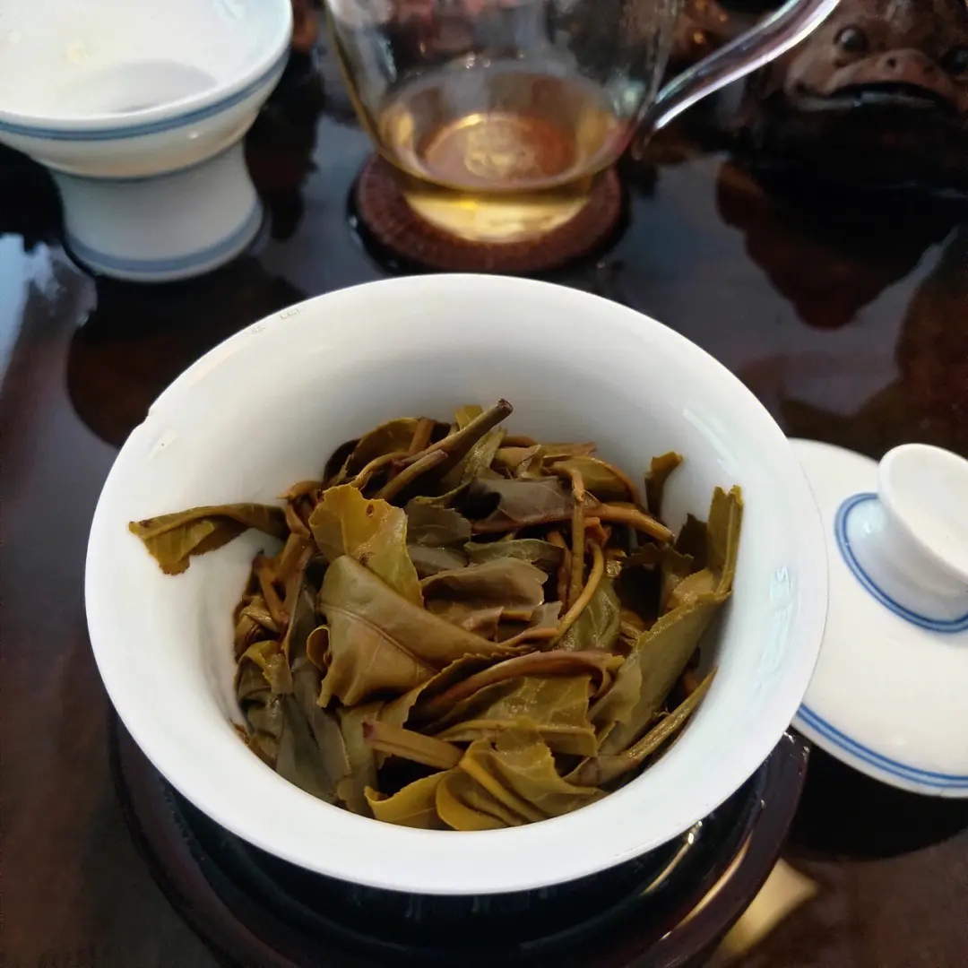 2023年昔歸古樹春茶口感如何？