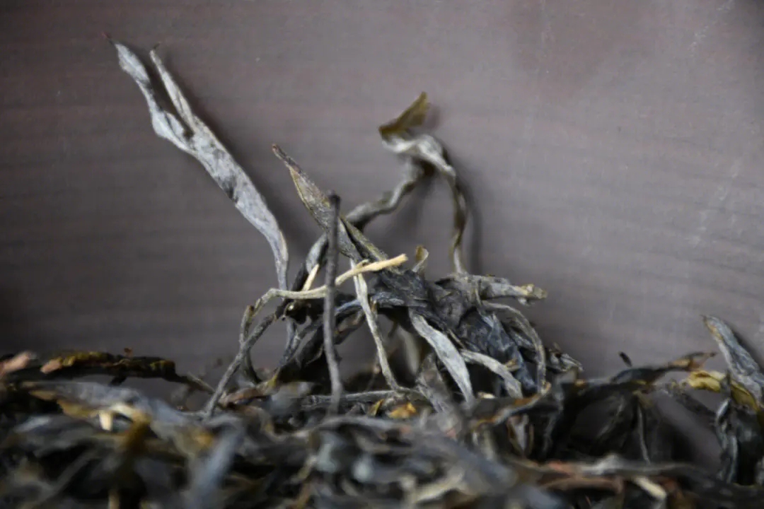 2023年正氣塘古樹春茶多少一公斤？