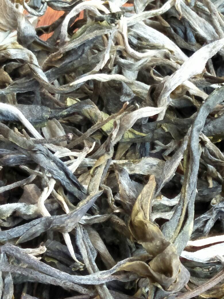 2023年壩歪古樹春茶價(jià)格是多少？