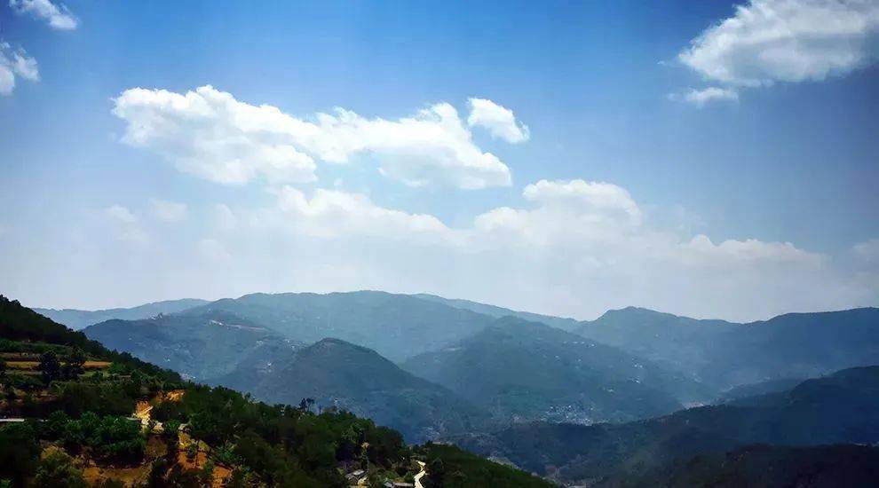 2023年勐庫大忠山古樹春茶價(jià)格是多少？