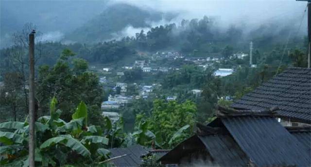 2023年勐庫(kù)豆腐寨古樹春茶口感怎么樣？