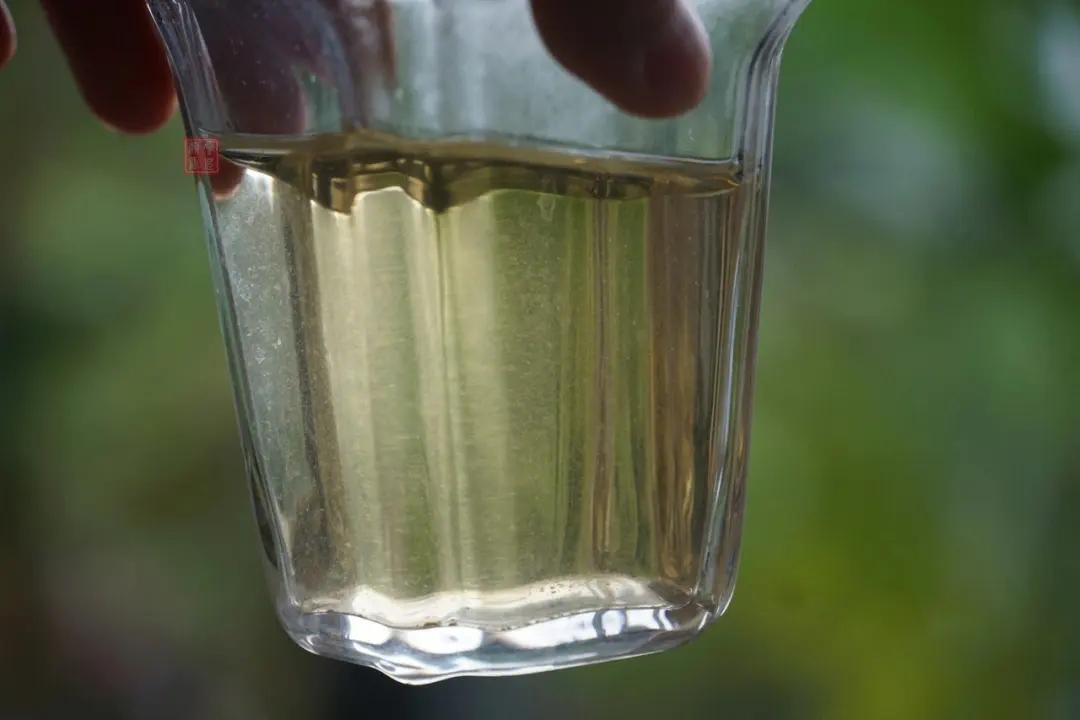 2023年多依樹古樹春茶價格是多少？