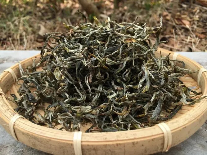 2023年易武張家灣古樹春茶品質(zhì)如何？