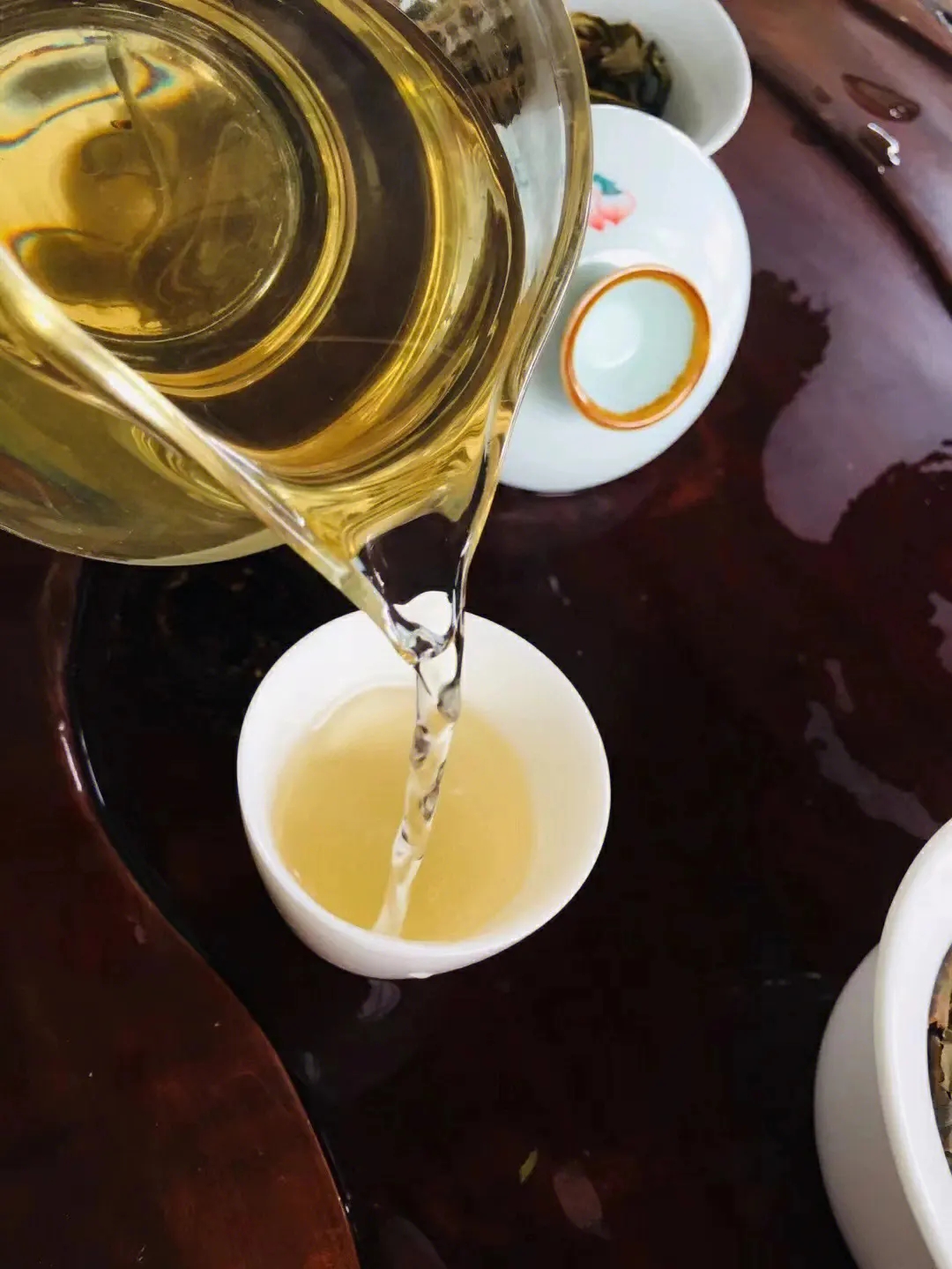 2023年鎮(zhèn)沅老海塘古樹春茶價(jià)格是多少？