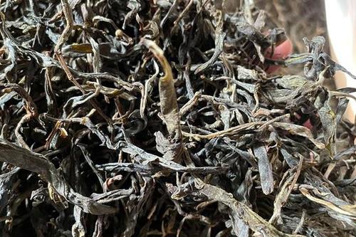 2023年鎮(zhèn)沅老烏山古樹春茶多少一公斤？