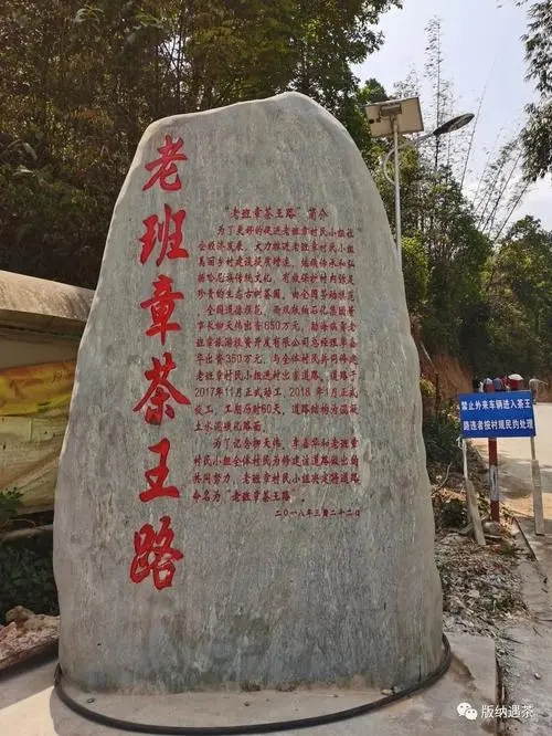 2024年老班章古樹春茶品質(zhì)如何？