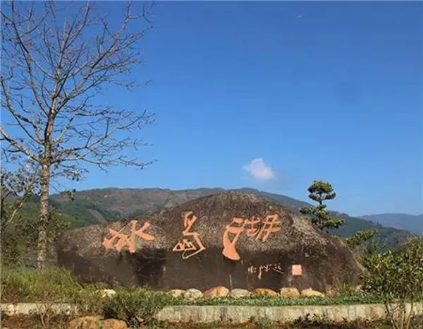 2024年冰島老寨古樹春茶品質(zhì)怎么樣？