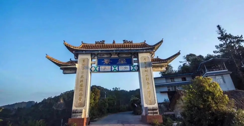 2024年墨江鳳凰窩古樹春茶特點(diǎn)是什么？