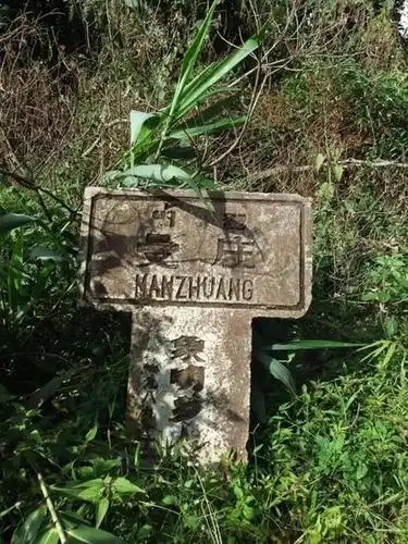 2025年蠻磚古樹春茶特點是什么？