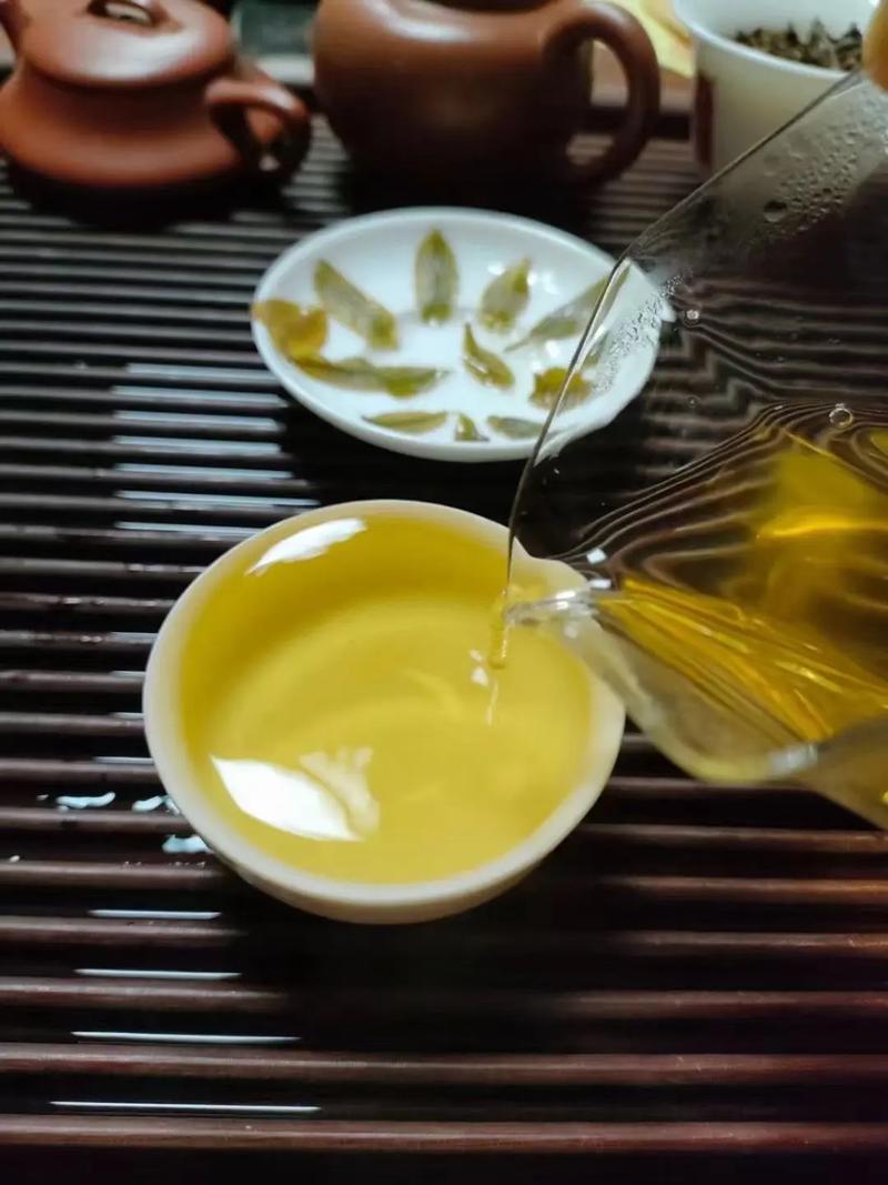 倚邦貢茶，甘甜醇柔